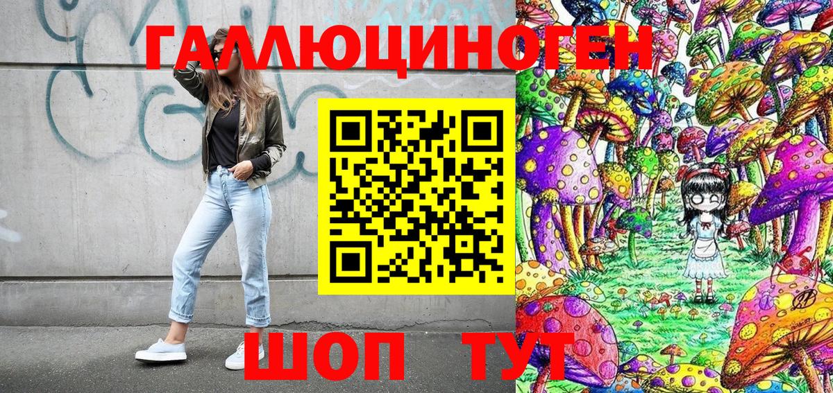 Галлюциногенные грибы Psilocybe Мурманск