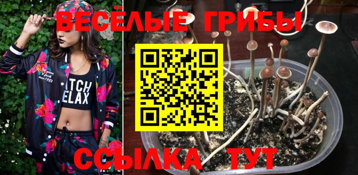 Мурманск  Псилоцибиновые грибы прущие грибы  Галлюциногенные грибы мухоморы  Вход с VPN 